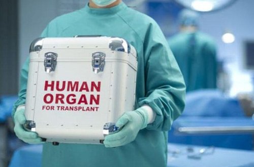 Bu ölkədə ölən şəxslərin orqanları çıxarılacaq
