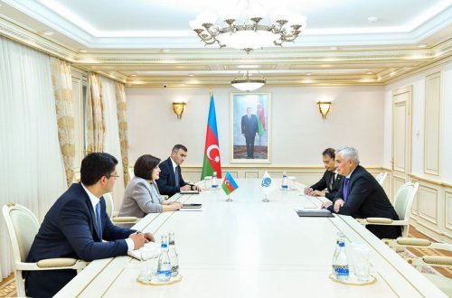 Sahibə Qafarova İqtisadi Əməkdaşlıq Təşkilatının Baş katibi ilə görüşüb