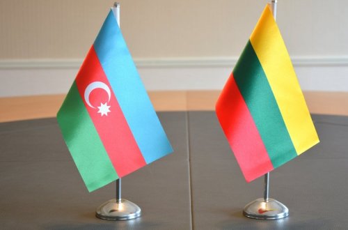 Azərbaycanın və Litvanın birinci xanımlarının görüşü olub