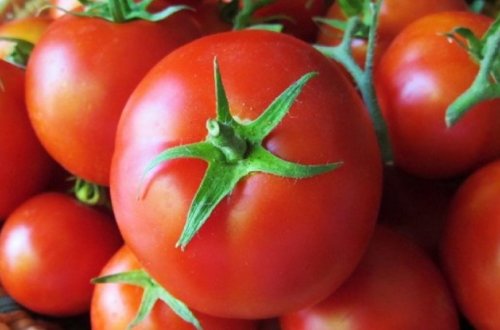 Pomidorun qiyməti bu tarixdən ucuzlaşacaq - AÇIQLAMA