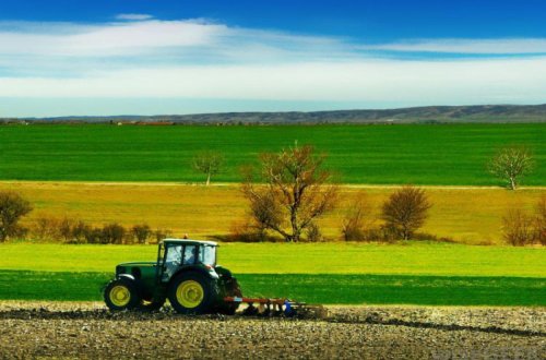 Kənd Təsərrüfatı Nazirliyinə yeni səlahiyyətlər verilib