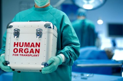 Azərbaycanda donor bankı yaradılıb, transplantasiya həyata keçirəcək mütəxəssislər hazırlanır