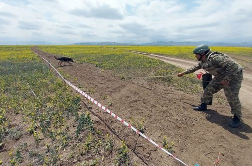 Müdafiə Nazirliyi: 