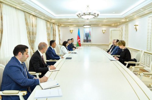 Sahibə Qafarova Türkiyə Hesablama Məhkəməsinin sədri ilə görüşüb