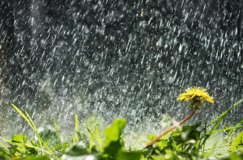 Sabah yağış yağacaq, bölgələrdə şimşək çaxacaq