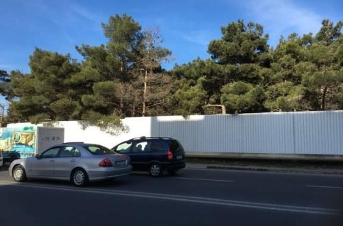 Nizaminin yeni başçısı “qulağının dibində” ağac qətliamını görmür? – Fotolar