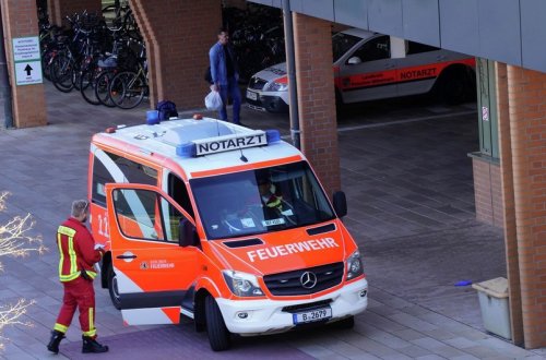 Almaniyada meymun çiçəyinə 4 yoluxma qeydə alınıb