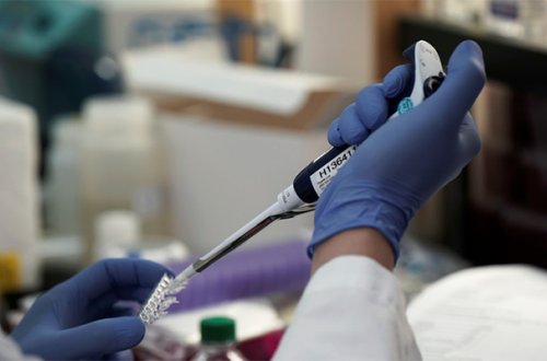 Meymunçiçəyi bu ölkəyə də çatdı