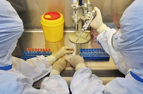 Meymunçiçəyi virusunu zərərsizləşdirən dərman tapılıb