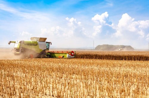 Britaniya kəşfiyyatı: 