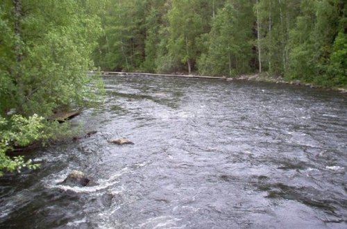 Leysan nəticəsində çaylarda sululuq artıb