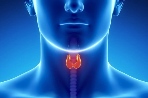 Azərbaycanda zob xəstəliyinin daha çox qeydə alındığı bölgələr açıqlanıb