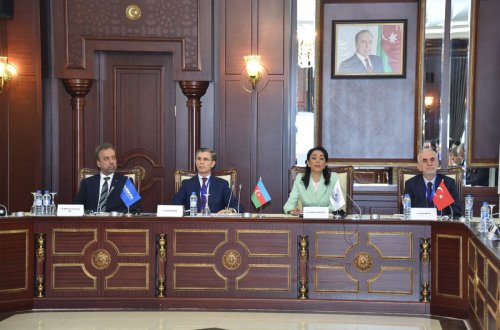 Milli Məclisdə insan hüquqlarının qorunması ilə bağlı beynəlxalq konfrans keçirilib