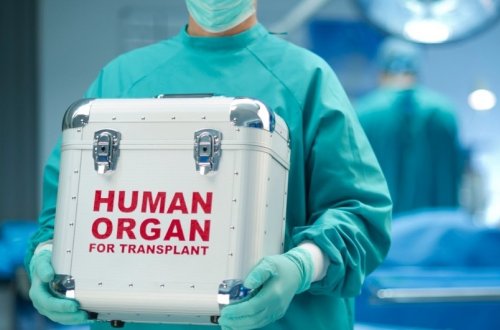 Orqan transplantasiyası haqqında qanunvericiliyi pozanlar 10 min manat cərimələnəcək
