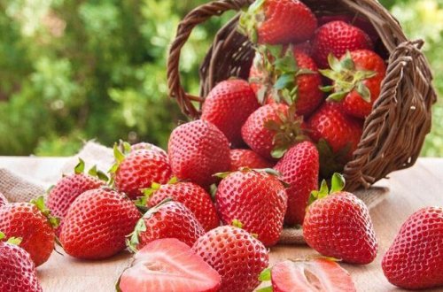 Çiyələkdən yayılan xəstəlik QORXUYA SALDI: Artıq 17 nəfər yoluxub