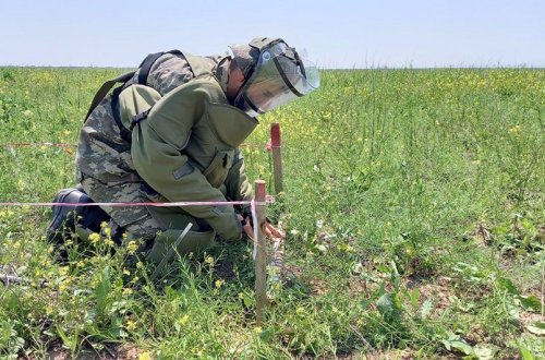 Müdafiə Nazirliyi azad edilmiş ərazilərdə aşkarladığı minaların sayını açıqlayıb