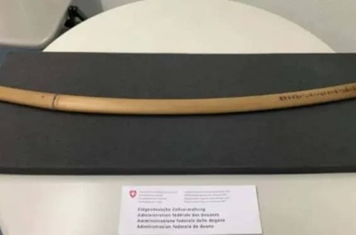 İsveçrə sərhədində 700 illik samuray qılıncı tapılıb