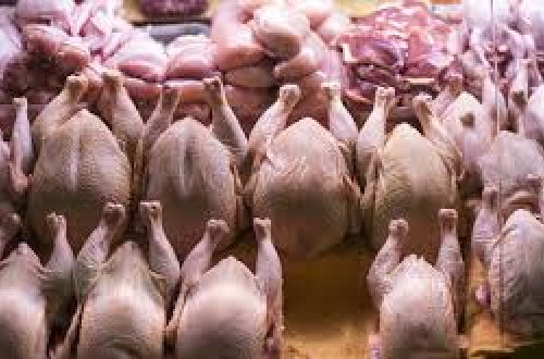 Azərbaycanda daha üç ölkəyə quşçuluq məhsulları ilə bağlı QADAĞA