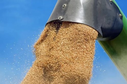 Rusiya Ukrayna limanlarında taxıl daşıyan gəmiləri buraxmağa hazır olduğunu deyib