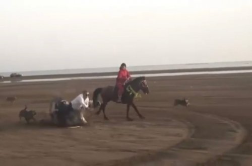 Cəlal Qurbanov atdan yıxıldı: Vəziyyəti ağırdır - VİDEO