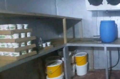 Bakıda süd məhsullarının istehsalı müəssisəsi nöqsanlara görə bağlanıb