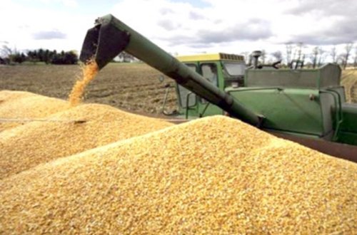 Türkiyə Ukraynadan taxıl ixracına töhfə verməyə hazır olduğunu açıqlayıb