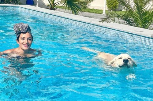 “Heyvanları pul verib almayın”