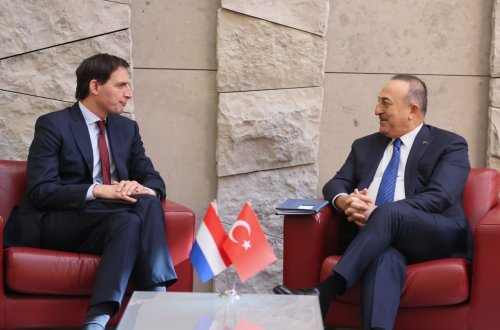 Türkiyə və Niderland terrorla mübarizəni daha da gücləndirmək istəyir
