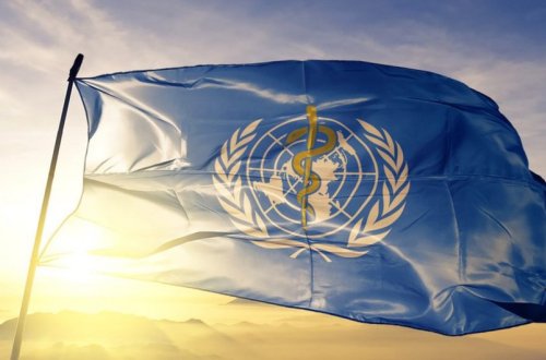 ÜST: Meymunçiçəyinin digər qeyri-endemik ölkələrə keçmə riski realdır