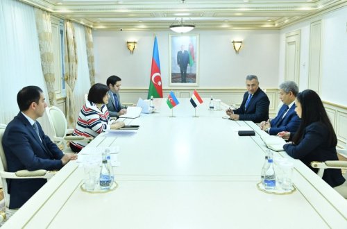 Sahibə Qafarova Misirin Azərbaycandakı səfiri ilə görüşüb