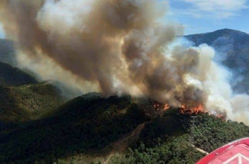 İSPANİYADA MEŞƏ YANĞINI : 3 nəfər xəsarət alıb