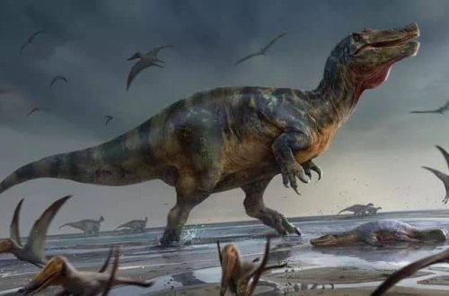 AVROPADA BÖYÜK KƏŞF: Ən böyük ətyeyən dinozavrın skelet parçaları tapıldı