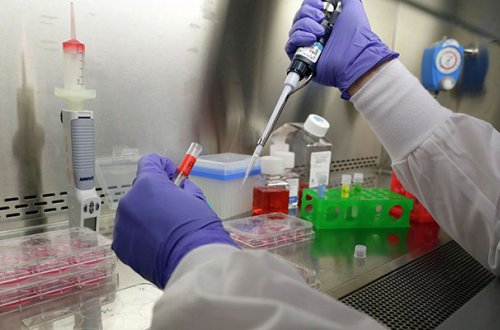 Meymunçiçəyi bu ölkəyə də çatdı