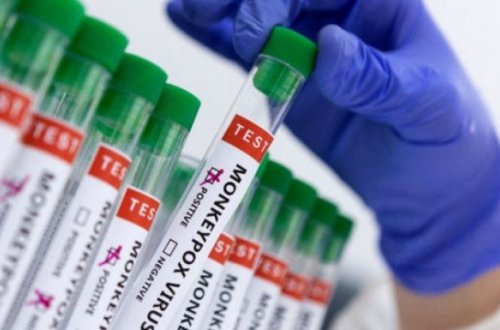 Meymunçiçəyi daha bir Avropa ölkəsində aşkarlandı