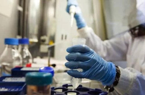 Polşada ilk meymunçiçəyi yoluxması görülüb