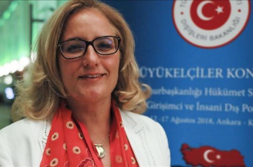 Səfir: “Türkiyə Gürcüstan və Azərbaycanla əlaqələrin güclənməsini istəyir”