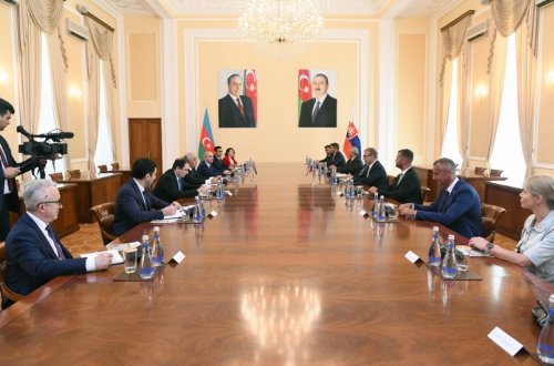 Əli Əsədov Slovakiya Milli Şurasının sədri ilə görüşüb