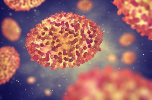 39 ölkədə 1,6 mindən çox insan meymunçiçəyinə yoluxub, 72 nəfər ölüb