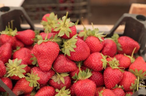 18-19 iyun tarixlərində “Kənddən Şəhərə” həftəsonu yarmarkaları fəaliyyət göstərəcək