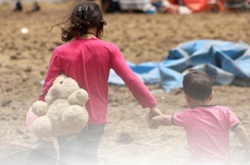 Suriya və İraqdan gətirilən uşaqların sayı açıqlanıb