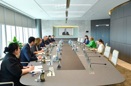 Azərbaycan və BMT Qarabağda həyata keçirilən layihələri müzakirə edib