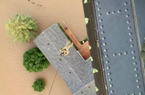 ABŞ-da turizmə zərbə: 10 mindən çox ziyarətçi bölgəni tərk etdi