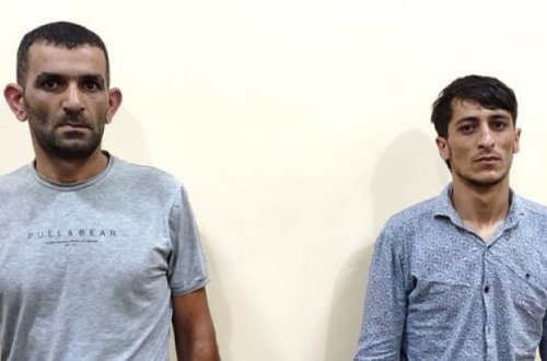 15 baş qoyunu “07” ilə oğurladılar