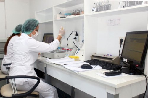 Meyit qalıqları ilə bağlı 282 molekulyar-genetik ekspertiza keçirilib