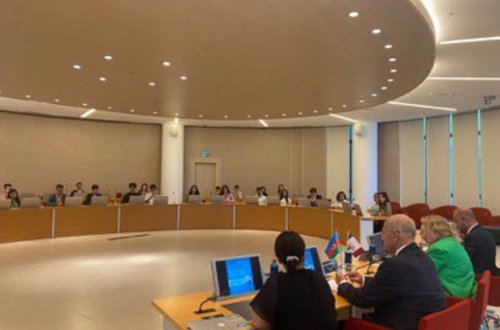 BMT rəsmisi Azərbaycanın təşəbbüsü ilə Gənclər Şəbəkəsinin yaradılmasını təqdir edib