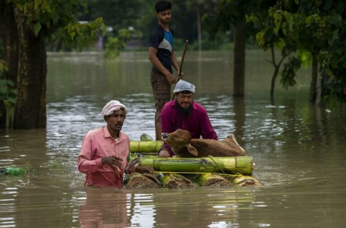 Hindistanda daşqınlar 71 insanın həyatına son qoyub, 4,2 milyon nəfər ziyan çəkib