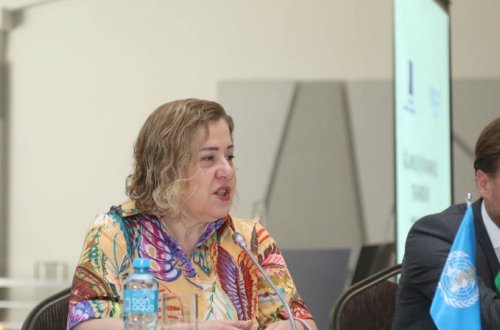 ÜST Azərbaycana meymunçiçəyi virusunu təsbit edən test göndərəcək