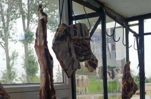 Şəmkirdə istehlaka yararsız ət aşkarlanıb