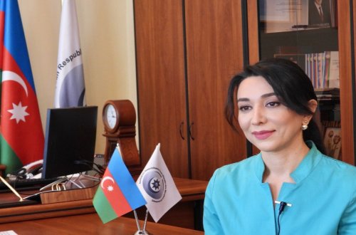 Ombudsmanın maaşı artırılır