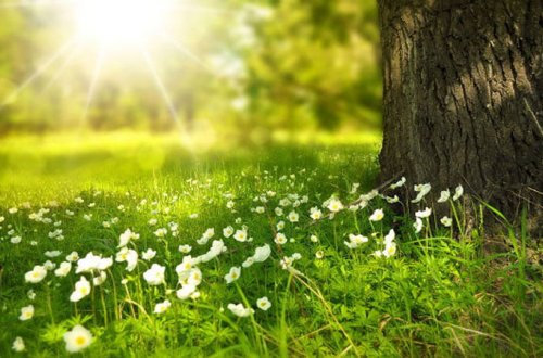 Bu gün Azərbaycana yay fəsli daxil olur